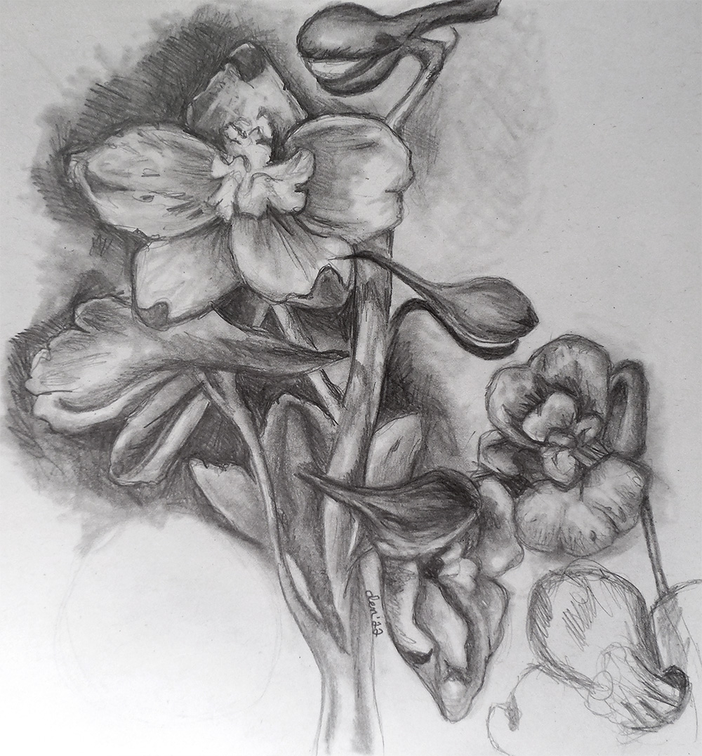 A rough illustration of a group of flowers