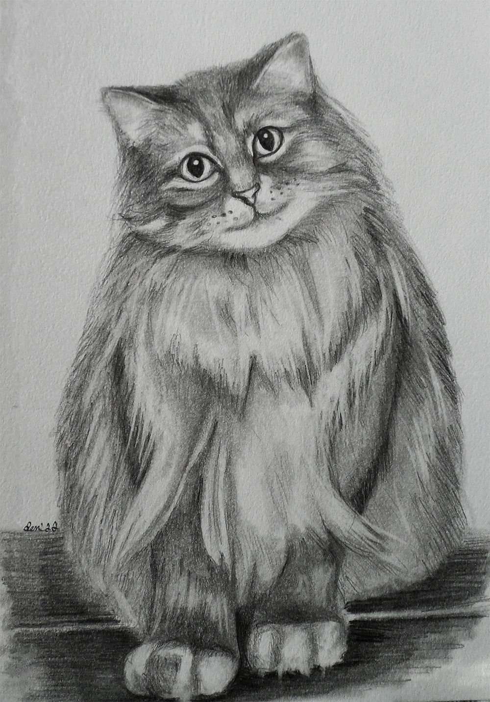 A slightly cartoonish rendition of a fuzzy cat.